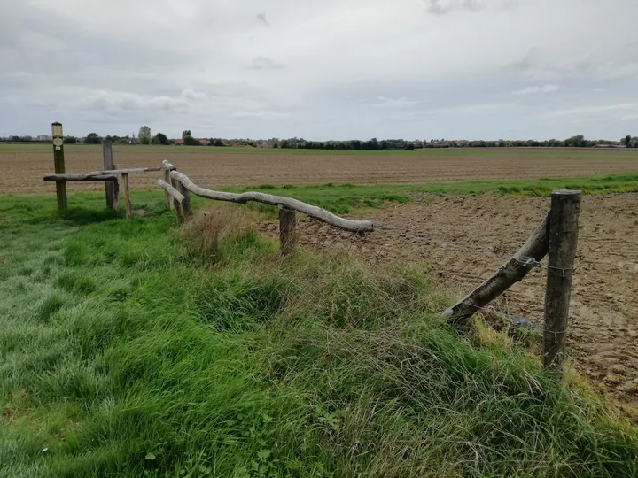 Galgebossen (Poperinge, Elverdinge, Vlamertinge) (Belgie)